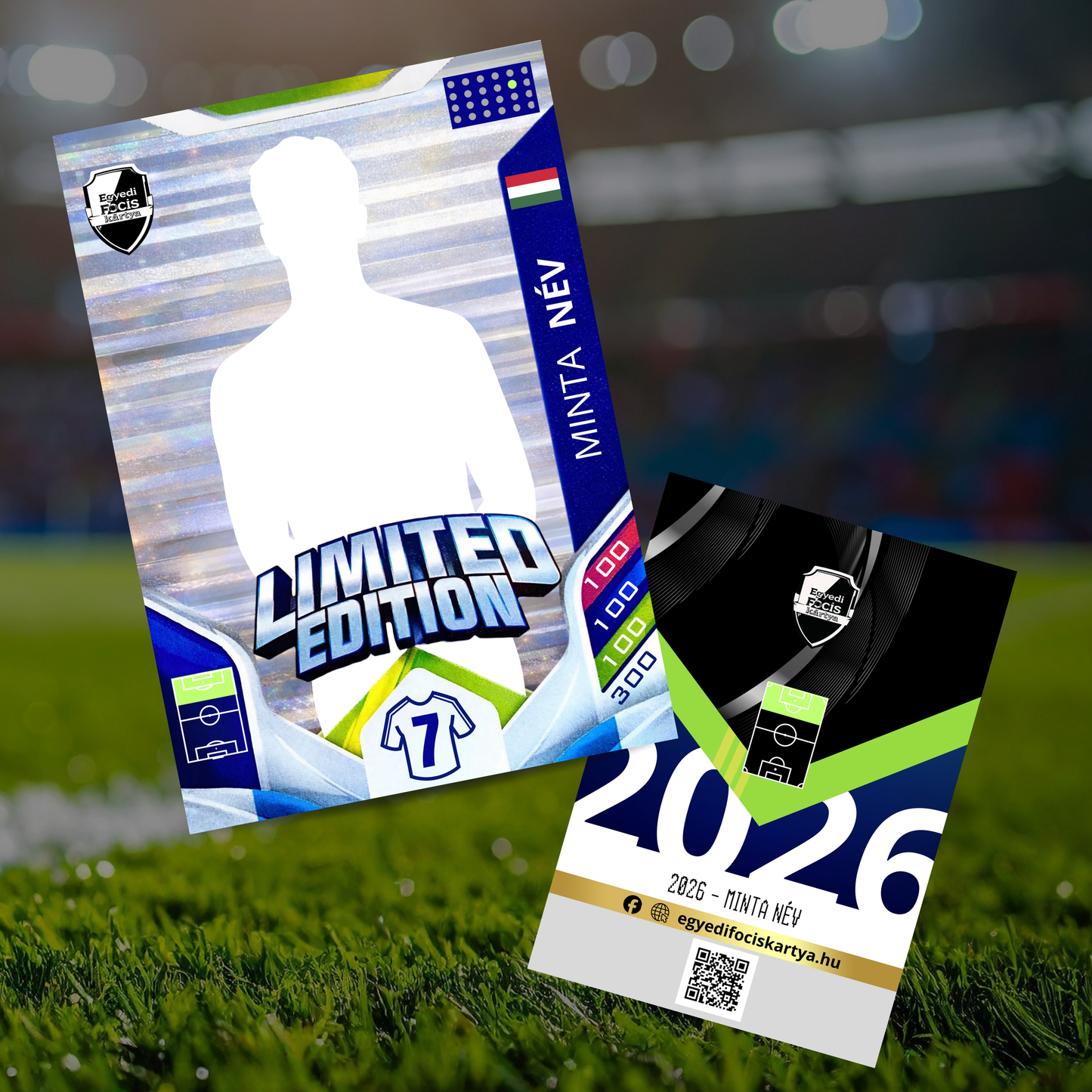 (#017) Limited Edition