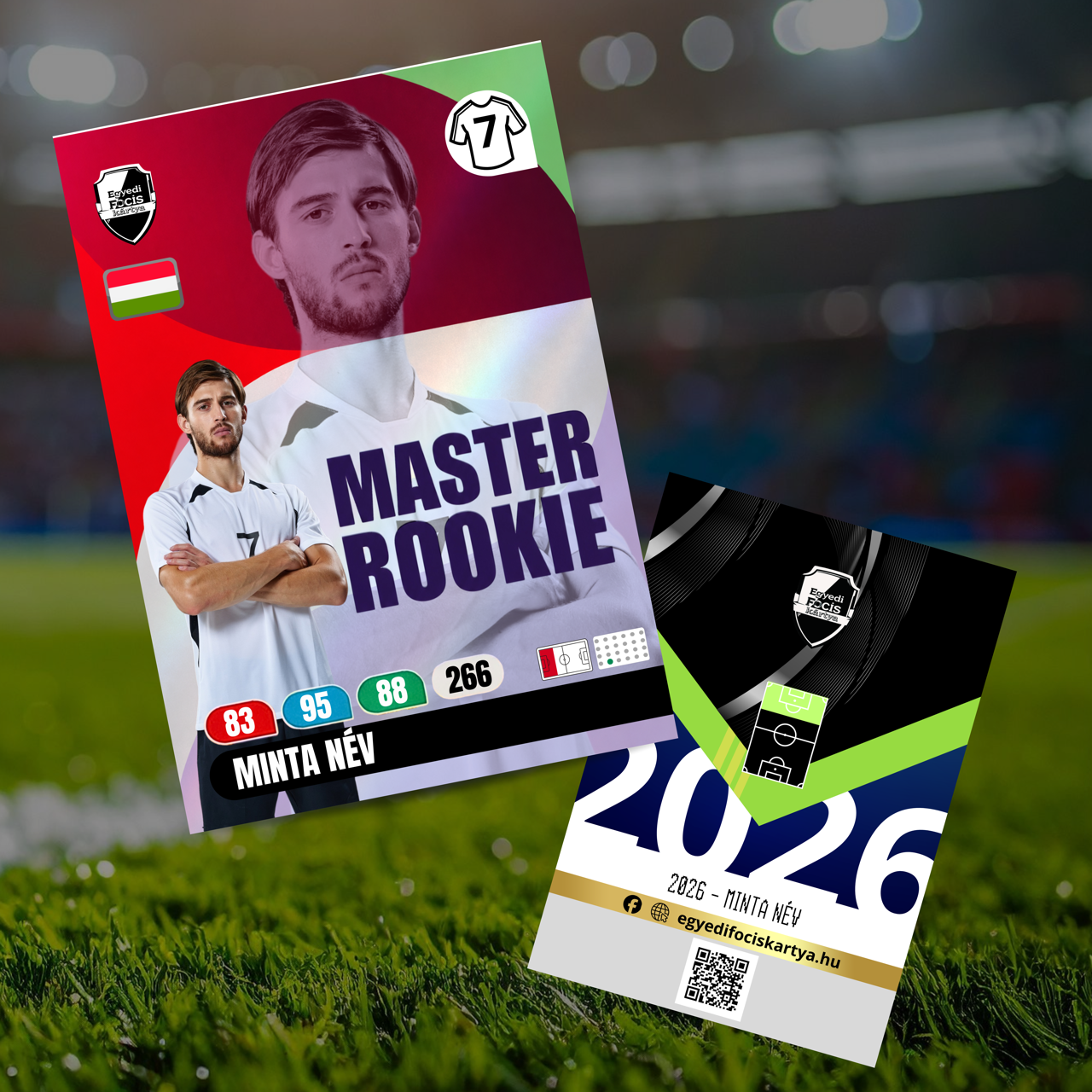 (#0033) Master Rookie